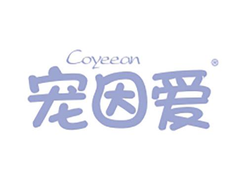 宠因爱