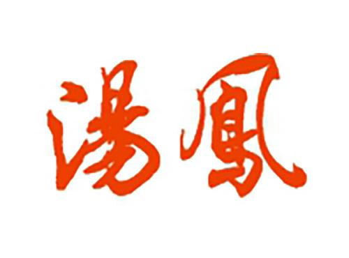 汤凤