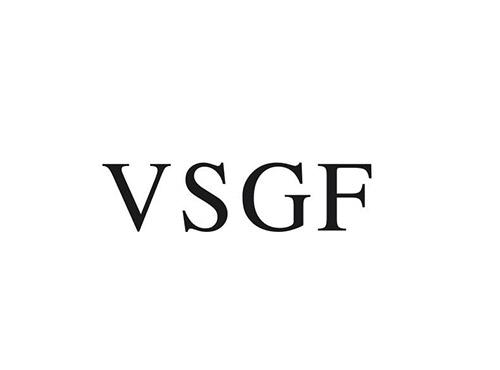 VSGF
