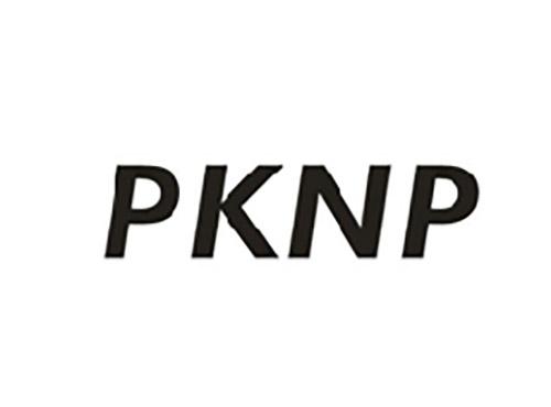 PKNP