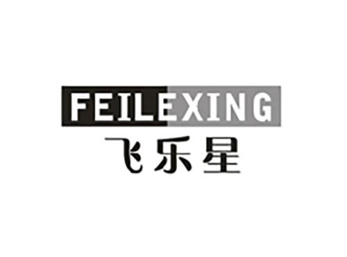 飞乐星;FEILEXING
