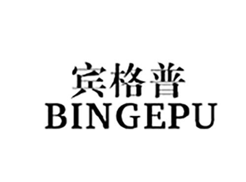 宾格普BINGEPU