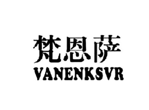梵恩萨VANENKSVR