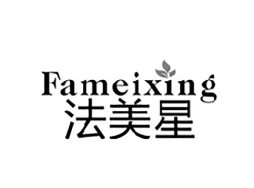 法美星FAMEIXING