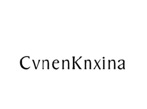CVNENKNXINA