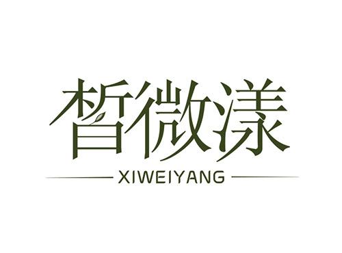 皙微漾XIWEIYANG