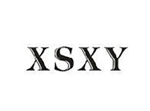 XSXY