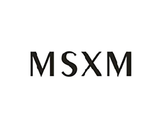 MSXM