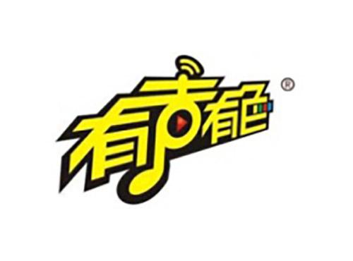 有声有色