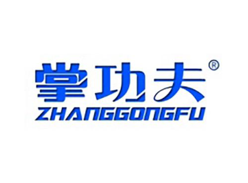 掌功夫