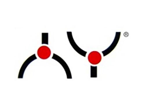 人丫
