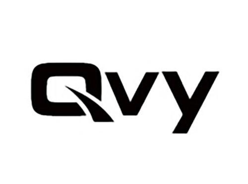 Qvy