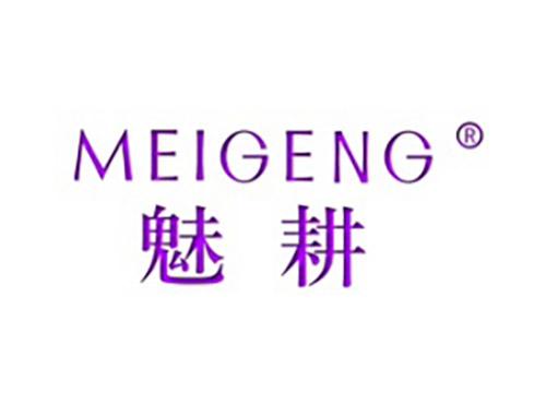 魅耕