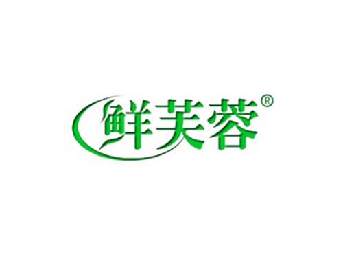 鲜芙蓉