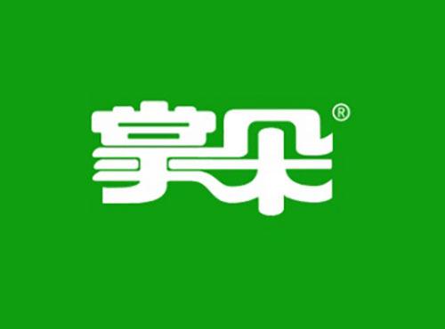 掌朵