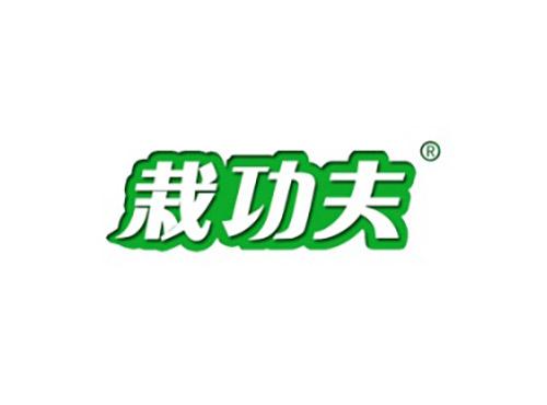 栽功夫