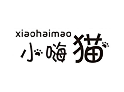 小嗨猫