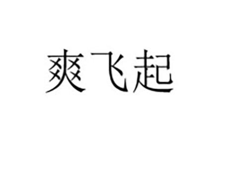 爽飞起