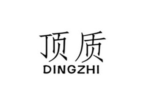 顶质DINGZHI