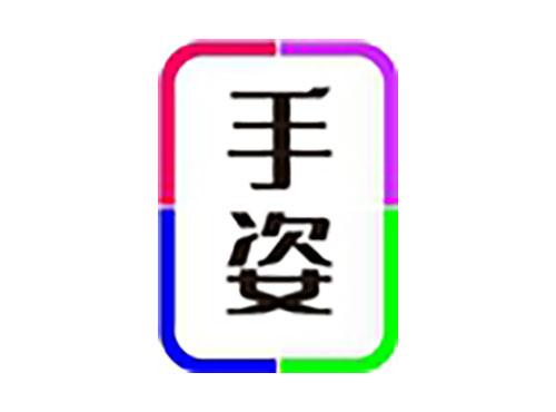 手姿