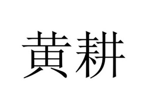 黄耕