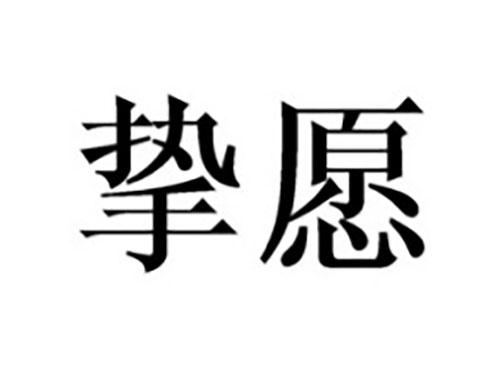 挚愿
