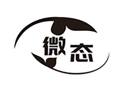 微态