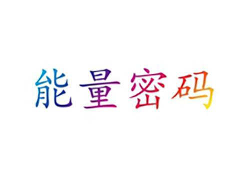 能量密码