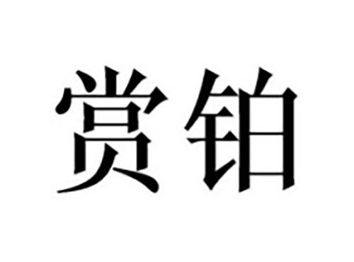 赏铂