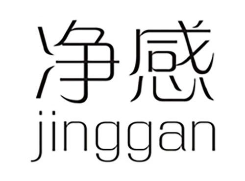 净感