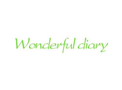 WONDERFULDIARY