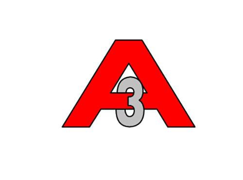 A3