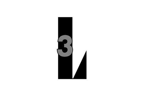 L3