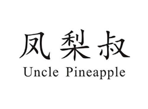 凤梨叔UNCLEPINEAPPLE