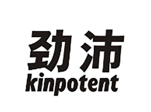 劲沛KINPOTENT