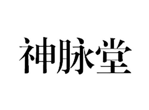 神脉堂