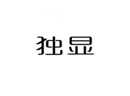 独显