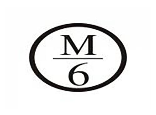 M 6