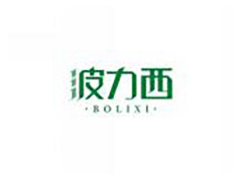 波力西BOLIXI