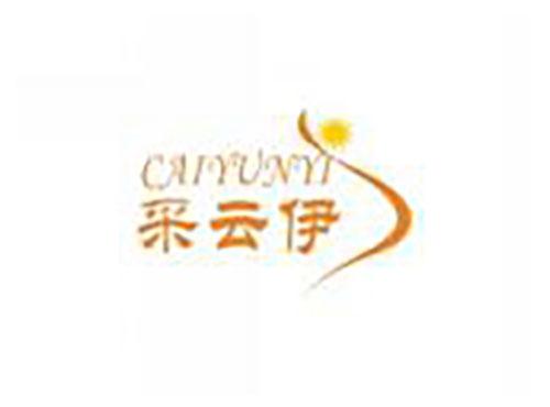 采云伊caiyunyi