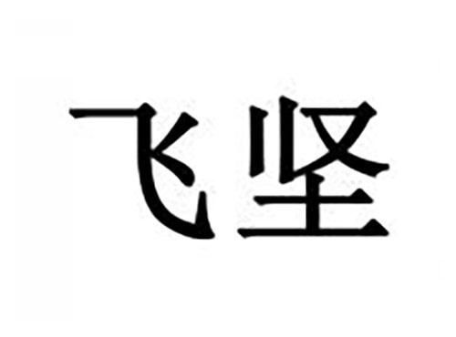 飞坚