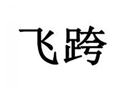 飞跨