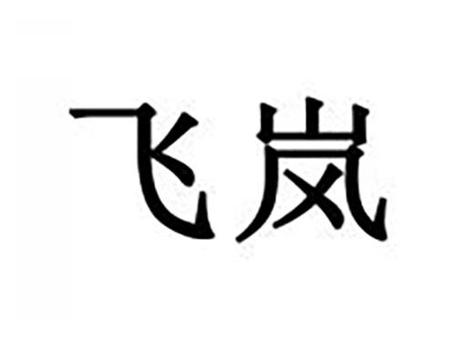 飞岚