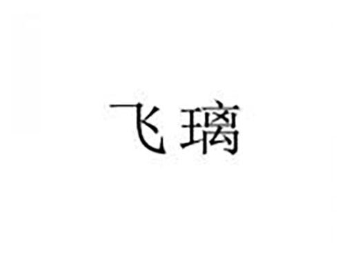 飞璃