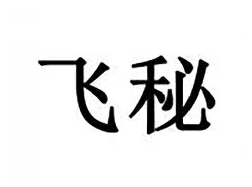 飞秘