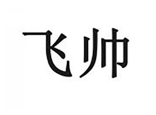 飞帅