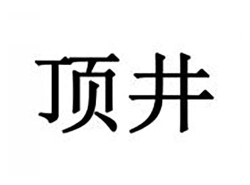 顶井
