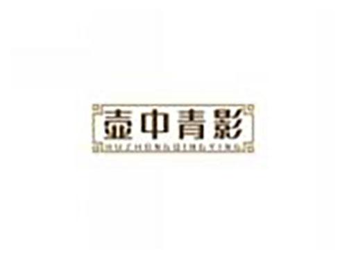 壶中青影huzhongqingying