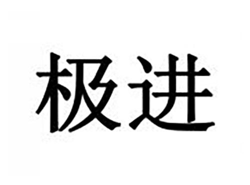 极进
