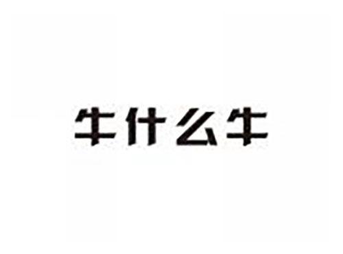 牛什么牛